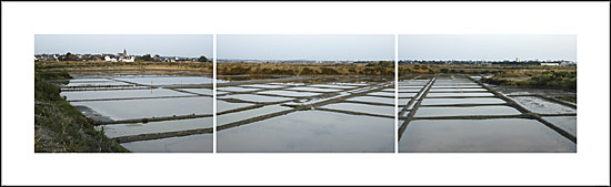 Marais salants de Saillé