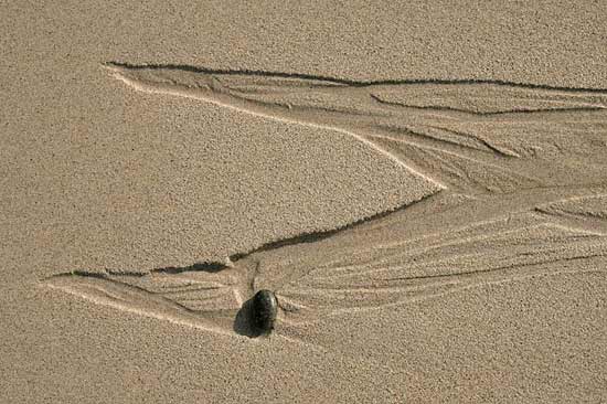 un monstre sur le sable de la plage d'Esquibien