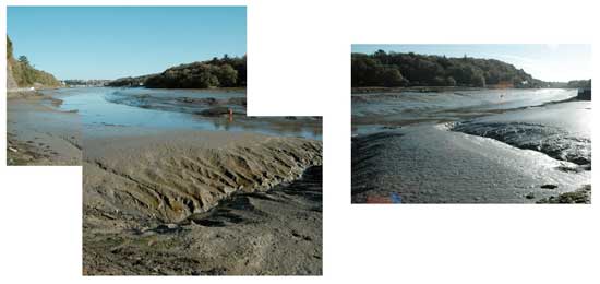 La vase au virage de lannuguy, à Locquénolé, sur la rivière de Morlaix