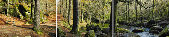 La forêt domaniale et la rivière d'Argent à Huelgoat