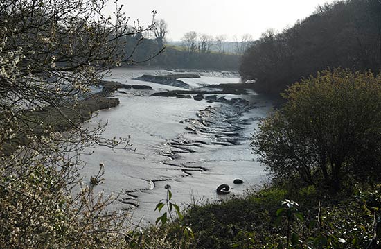 Pont-Éon à Plouénan