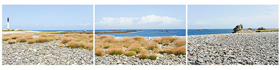 Galets près du phare de l'île de Sein