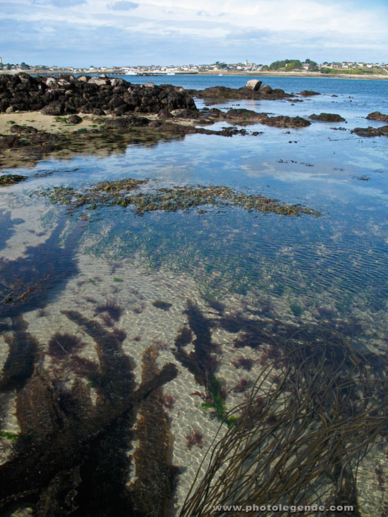 grande marée à Roscoff