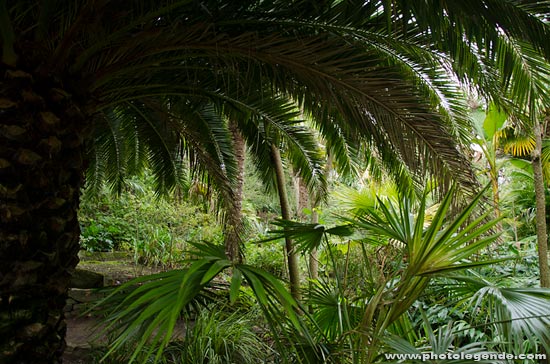 Le jardin exotique Georges Delaselle