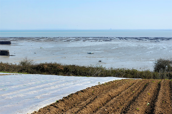 Dessins de grande marée sur le sable