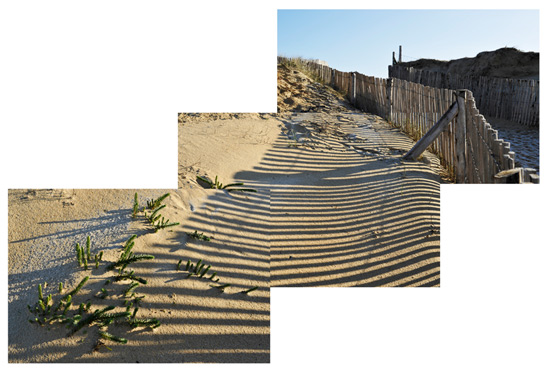 Sur les dunes de Plouharnel, un chemin descend à la plage