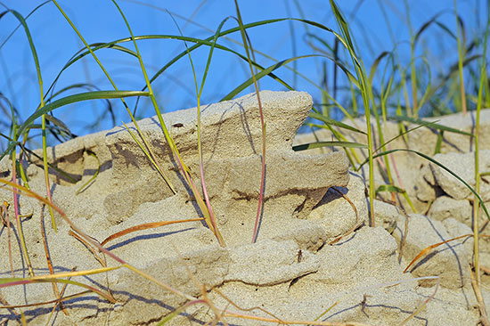 La dune de Santec après la grande marée