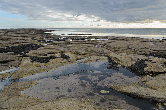 Une mare au Guilvinec