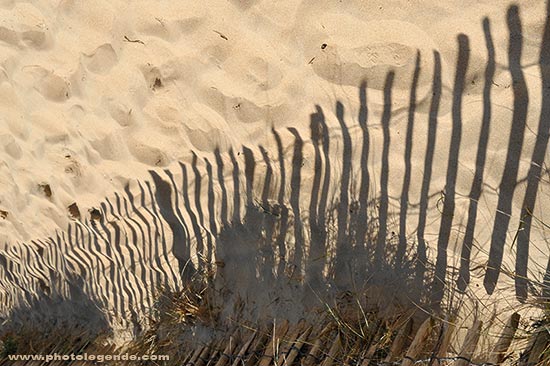 ombre de ganivelles sur la dune