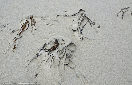 Sur la plage, Cléder